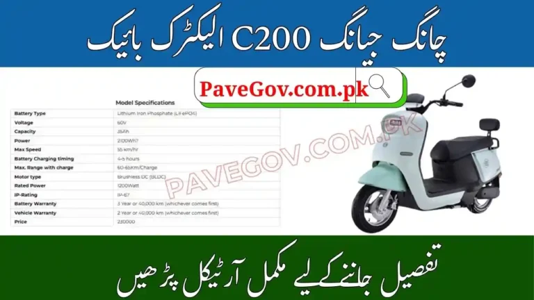 Chang Jiang C200 Electric Bike Latest Price in Pakistan 2025 PAVE Vehicle Scheme 6 Chang Jiang C200 Electric Bike Latest Price in Pakistan