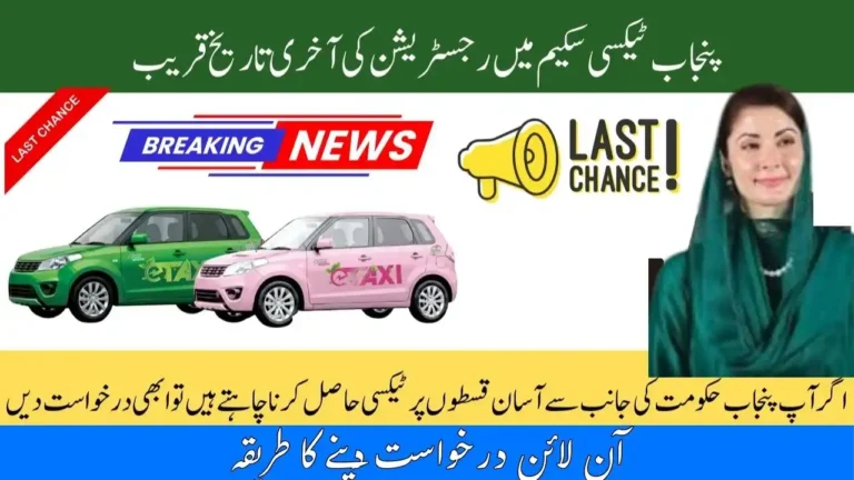 E-Taxi Punjab 2025 Application Form Download & Fill Instructions 6 E-Taxi Punjab 2025