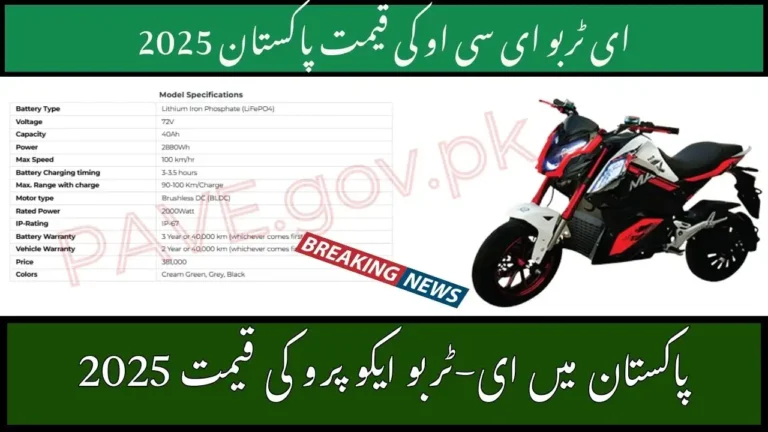 E-Turbo Thunder Bolt in Pakistan 2025 Latest Electric Bike Price, Features & Review 4 E-Turbo Thunder Bolt in Pakistan 2025