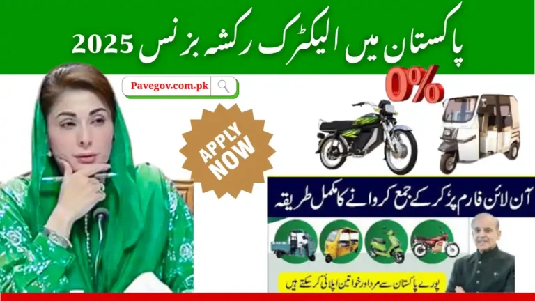 Electric Rickshaw Business in Pakistan 2025 – Income, Costs & Profits Under PAVE Scheme 5 Electric Rickshaw Business in Pakistan
