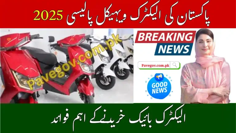 Electric Vehicle Policy Pakistan 2025 – Which Bike Should You Choose? 3 Electric Vehicle Policy Pakistan 2025