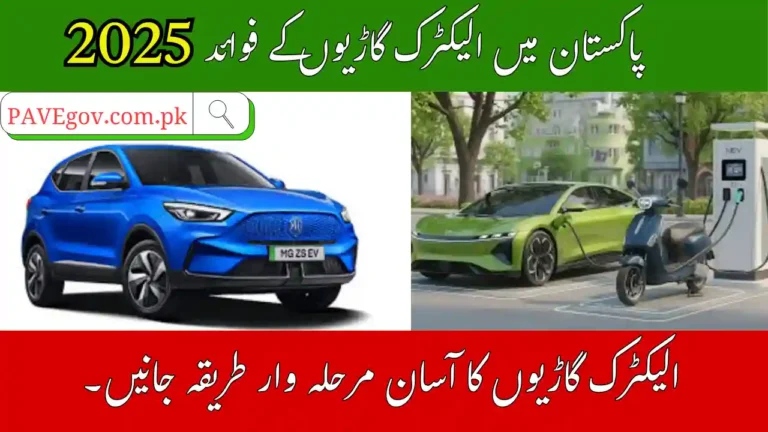 How Electric Vehicles Can Save Fuel Costs in Pakistan – Complete Guide 5 Electric Vehicles Can Save Fuel Costs in Pakistan