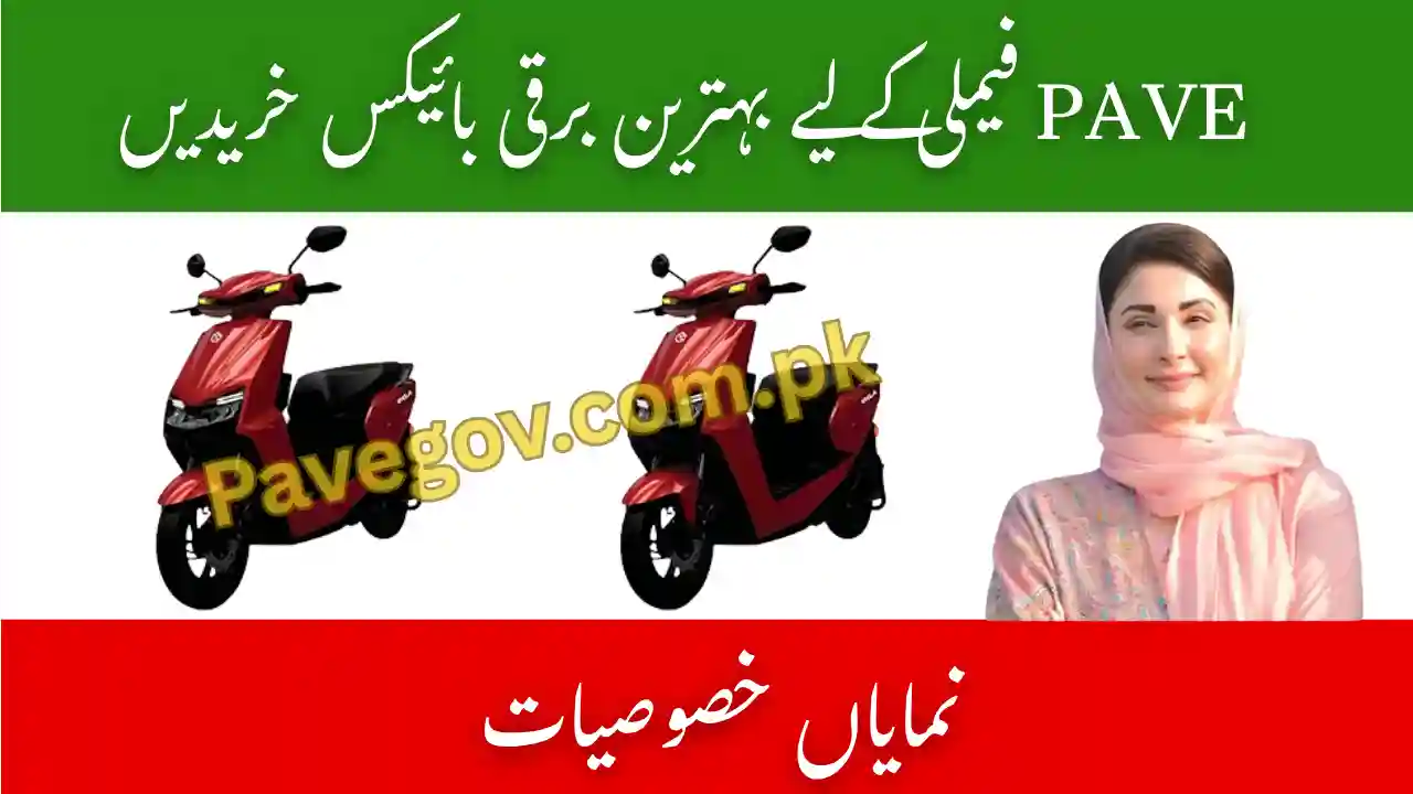 Family-Friendly Electric Bikes Eligible for PAVE Subsidy 2025 1 Family Friendly Electric Bikes Pave Subsidy