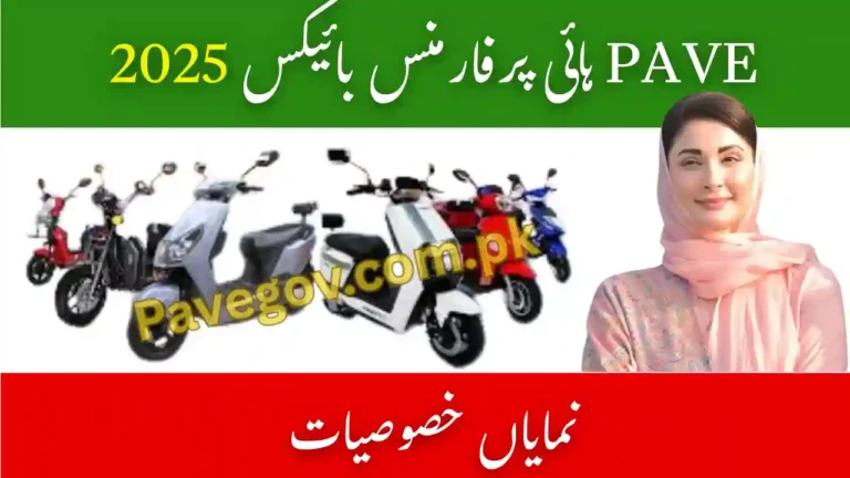 High-Performance Electric Bikes Eligible for PAVE Subsidy in Pakistan 3 High Performance Blectric Bikes Pave Subsidy 2025