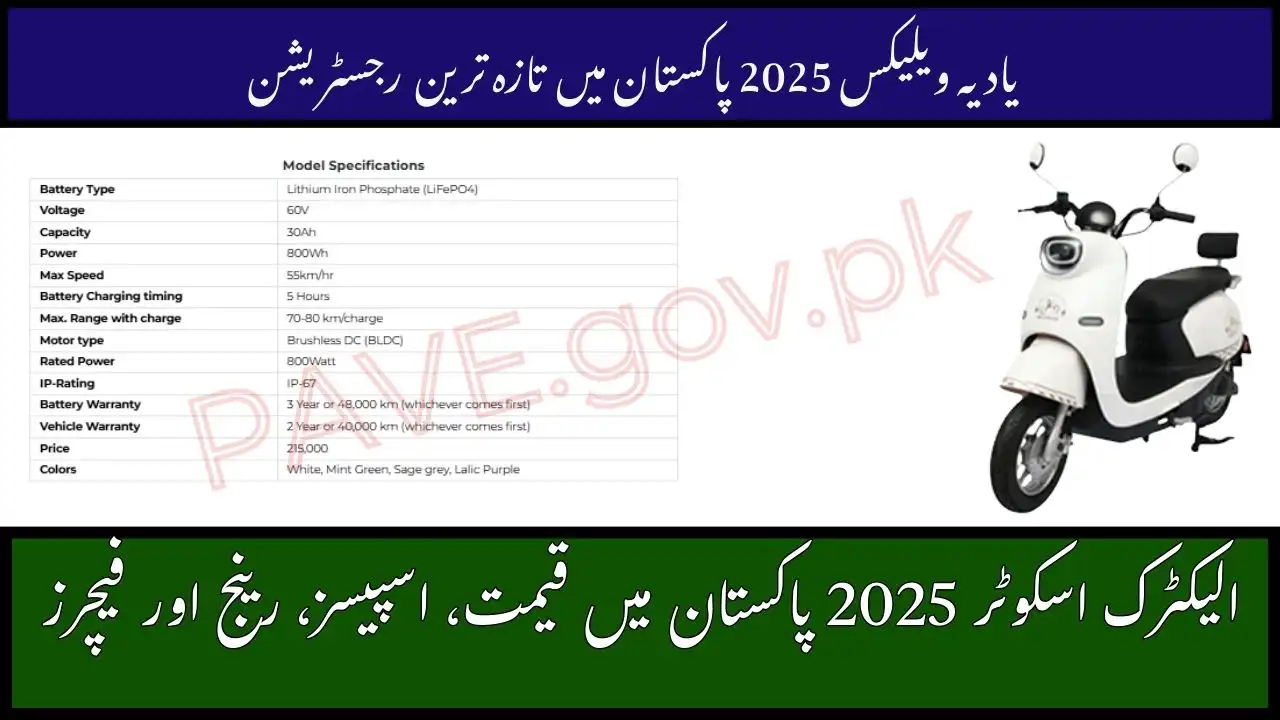 LIZA Electric Scooter 2025