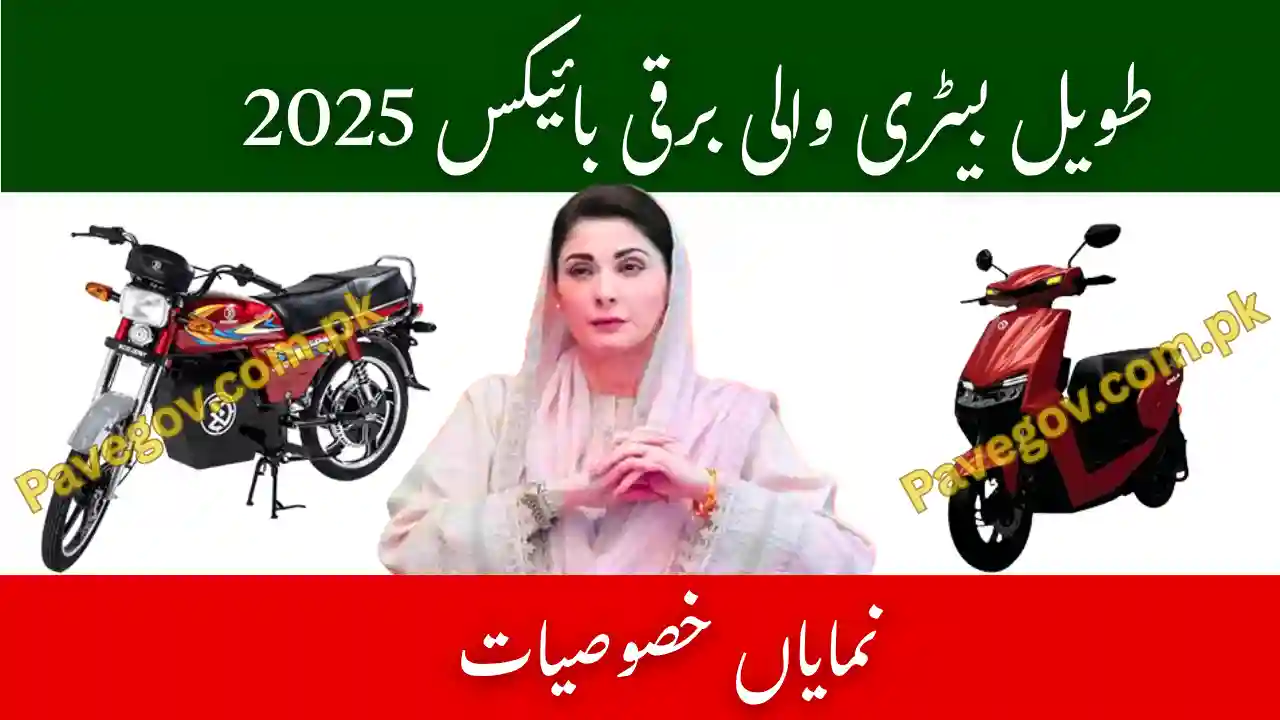 Long Lasting Electric-bikes Pave Subsidy 2025