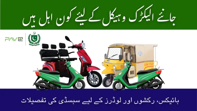 PAVE Portal Eligibility 2025 – Subsidy Details for Bikes, Rickshaws & Loaders 8 PAVE Portal Eligibility