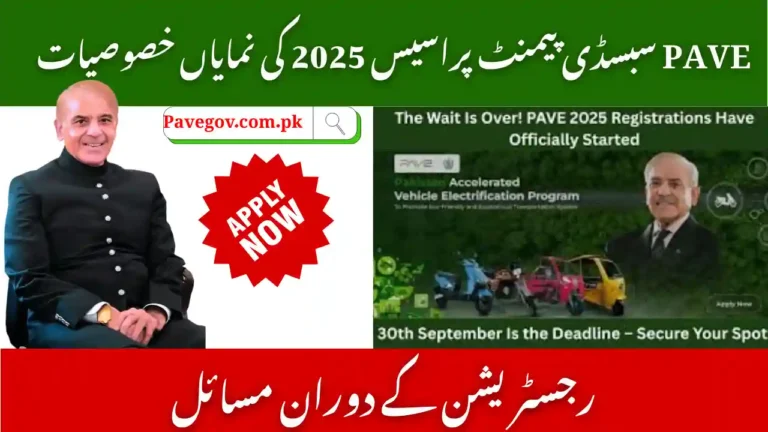 PAVE Subsidy Payment Process 2025 – How Citizens Will Receive Benefits 9 PAVE Subsidy Payment Process