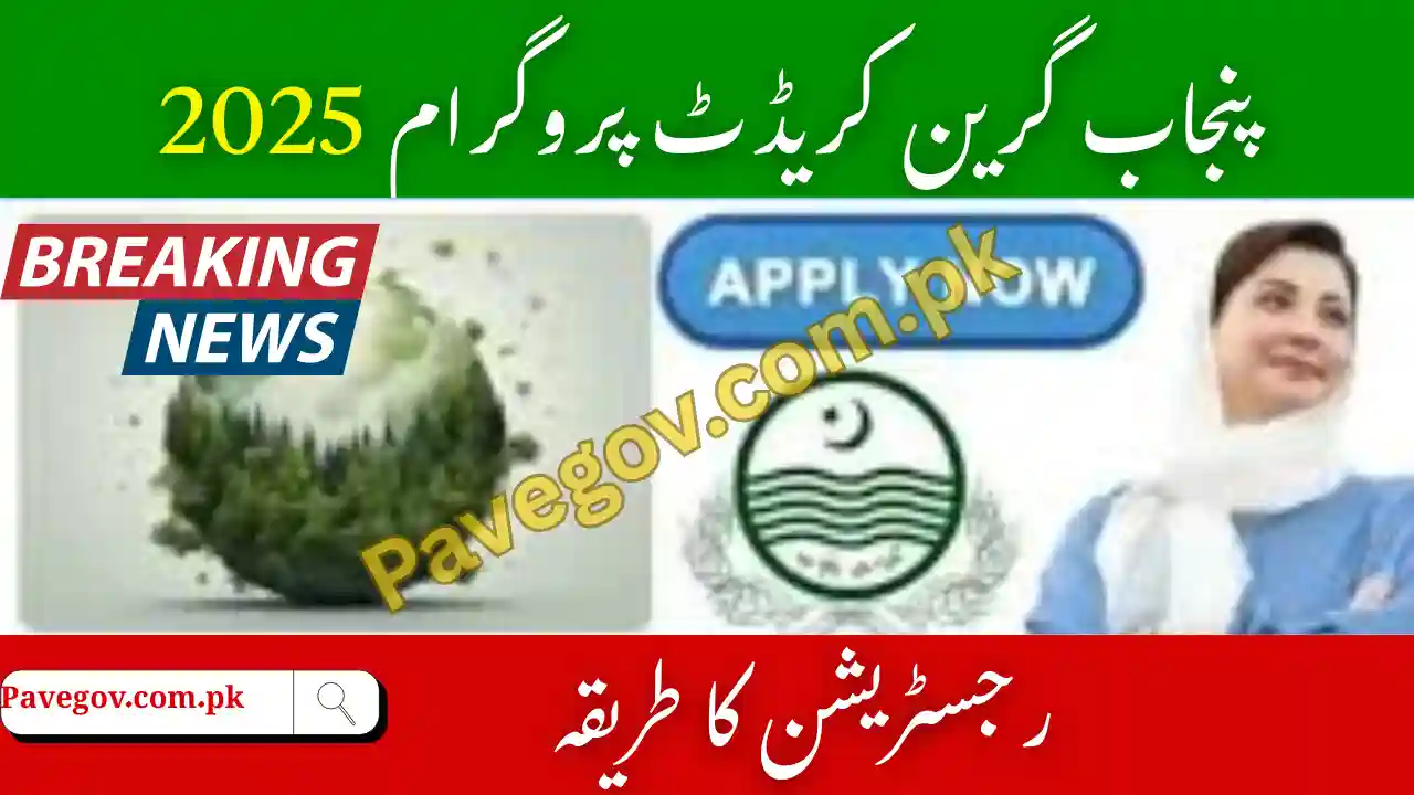 PGCP Guidelines 2025 – Rules, Regulations & Required Criteria 1 PGCP Guidelines 2025