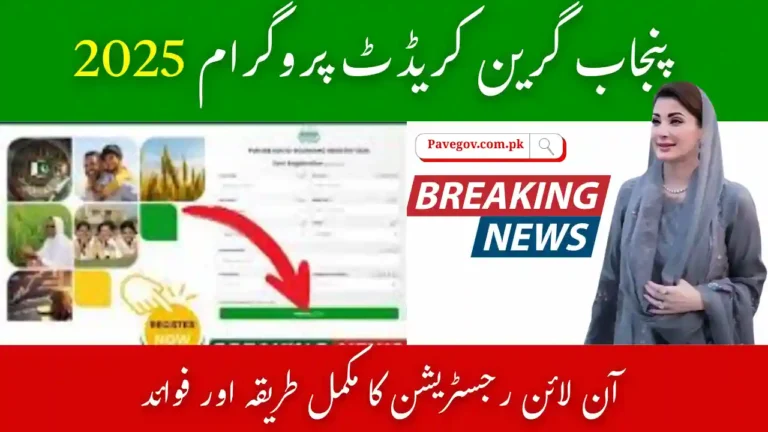 PGCP Online Registration 2025 – Complete Guide With Step-by-Step Process 9 PGCP Online Registration 2025