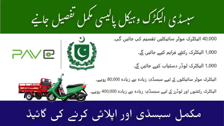 Pakistan EV Policy 2025–30 – Complete Subsidy & Application Guide 5 Pakistan EV Policy