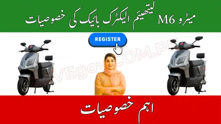 Prime Minister EV E-Bikes PAVE Subsidy Scheme 2025 | Metro M6 Lithium Electric Bike Price and Complete Specs 5 Prime Minister EV E-Bikes PAVE Subsidy Scheme
