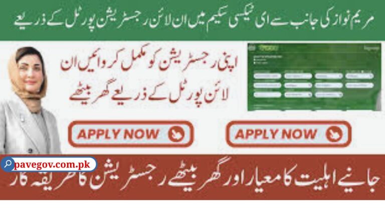 Punjab E-Taxi 2025 for Women Special Quota & Equity Support 7 Punjab E-Taxi Scheme 2025 for Women Special Quota & Equity Support