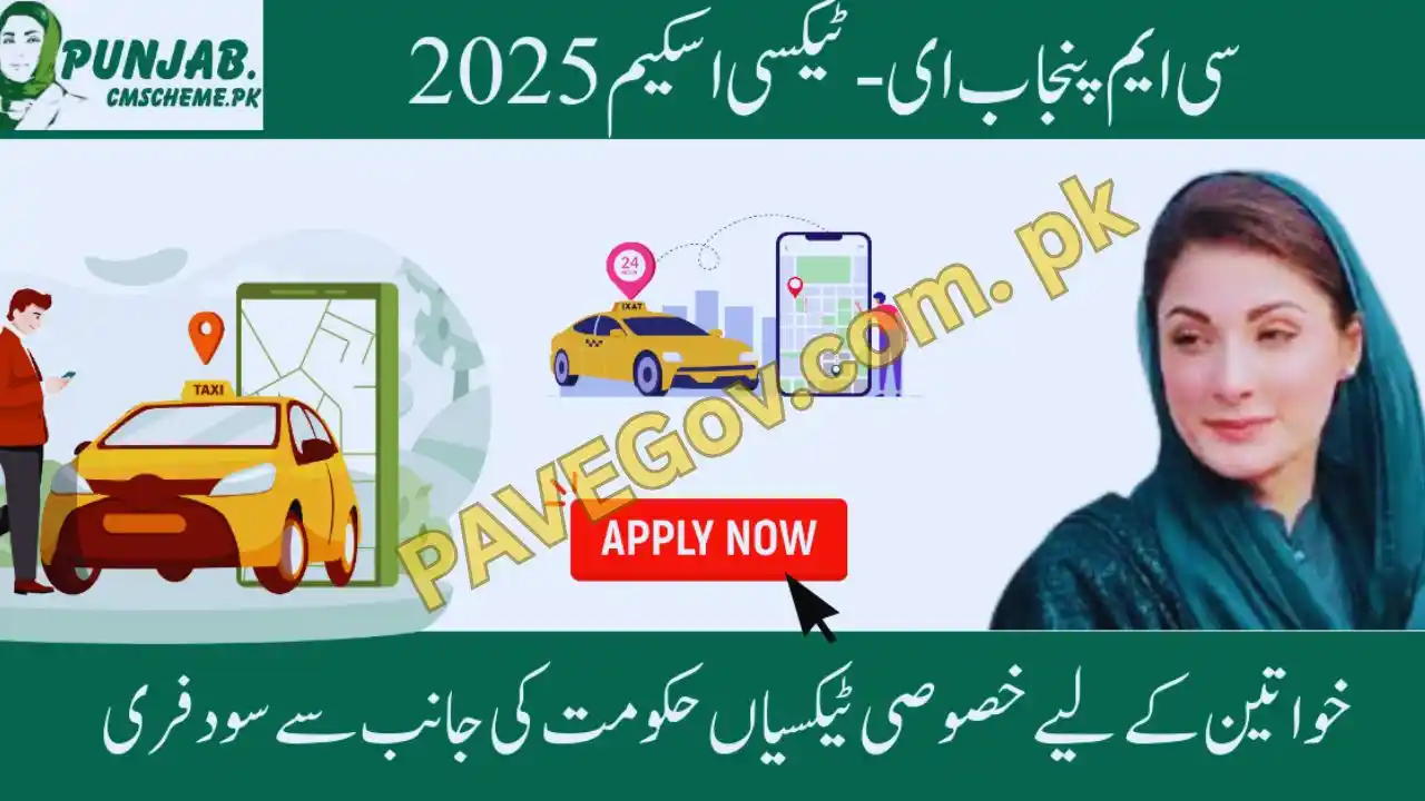 Punjab E-Taxi Subsidy 2025