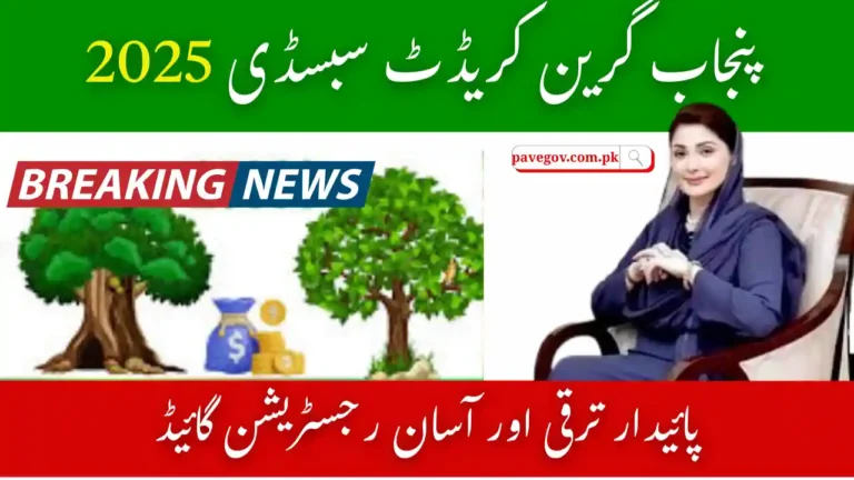 Punjab Green Credit Subsidy 2025 – Benefits & How to Avail 5 Punjab Green Credit Subsidy 2025