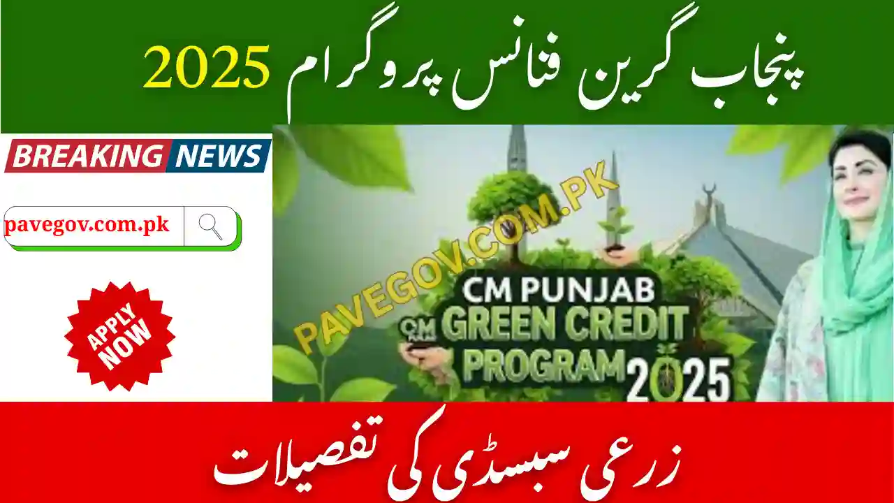 Punjab Green Finance 2025