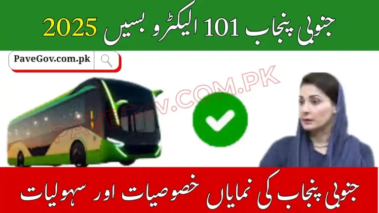 South Punjab Welcomes 101 Eco-Friendly Electro Buses 2025 7 South Punjab Welcomes 101 Eco-Friendly Electro Buses 2025