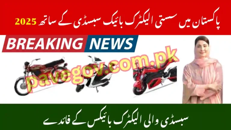 Affordable Electric Bikes with Subsidy – Top Models in Pakistan 6 Affordable Electric Bikes with Subsidy