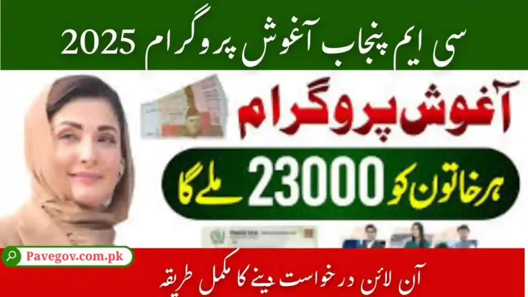 CM Punjab Aghosh Program Apply Online 2025 – Step-by-Step Registration Guide 4 CM Punjab Aghosh Program Apply Online