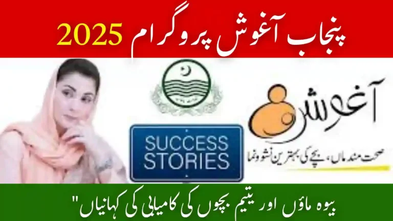 CM Punjab Aghosh Program Success Stories 2025 – Impact on Mothers in Punjab 2 CM Punjab Aghosh Program Success Stories