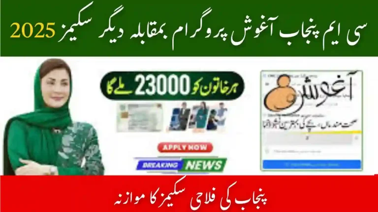 CM Punjab Aghosh Program vs Other Punjab Welfare Schemes 2025 – Key Differences 6 CM Punjab Aghosh Program vs Other Schemes
