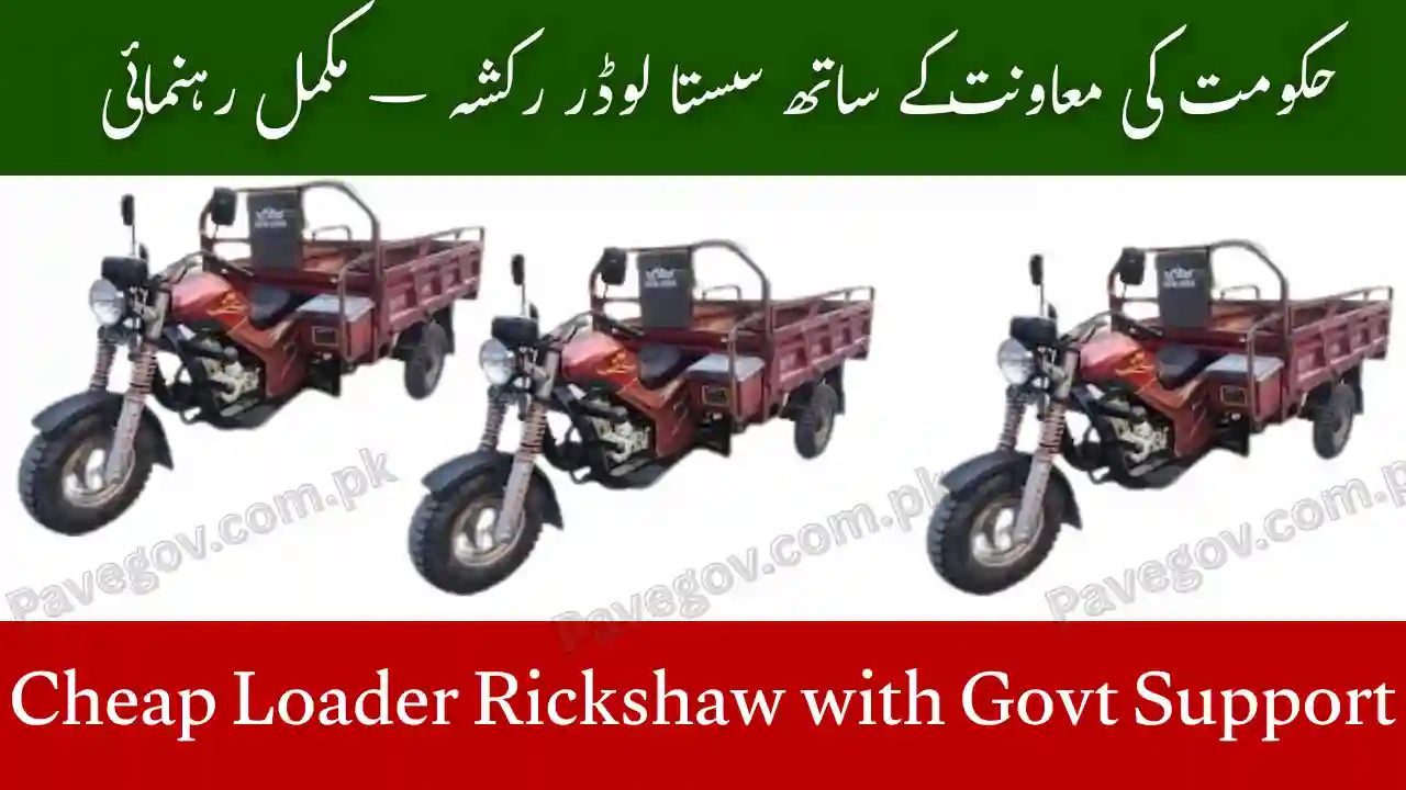 Cheap Loader Rickshaw with Govt Support