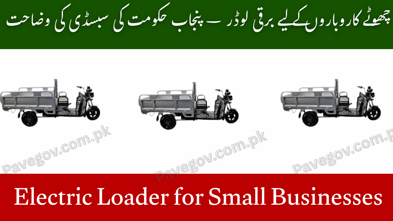 Electric Loader for Small Businesses – Punjab Govt Subsidy Explained 1 Electric Loader for Small Businesses