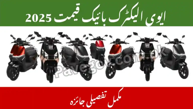 Evee Electric Bikes Pakistan – All Models & Prices 3 Evee Electric Bikes Pakistan