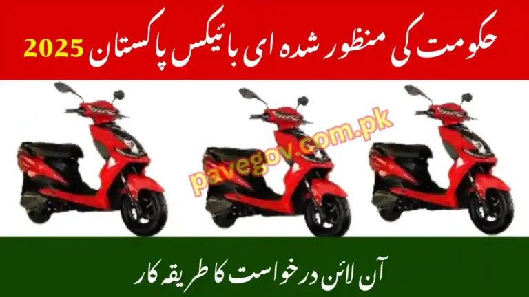 Government Approved E-Bikes in Pakistan – Specs & Features 5 Government Approved E-Bikes in Pakistan