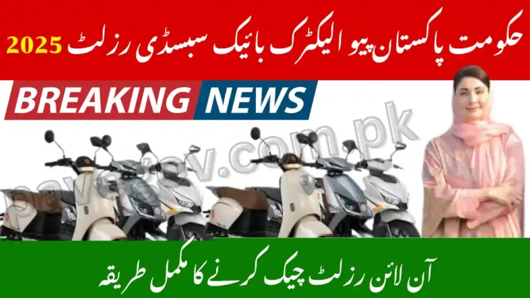 Govt of Pakistan PAVE Electric Bike 2025 – Subsidy Scheme Balloting Result Portal 2 Govt of Pakistan Pave Electric Bike Subsidy Result 2025