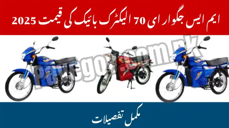 MS Jaguar E-70 Price in Pakistan – Electric Bike 2025 5 MS Jaguar E-70 Price in Pakistan
