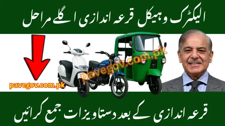 PAVE Subsidy Ballot Next Steps 2025 – Guide for Applicants 4 PAVE Subsidy Ballot Next Steps 2025