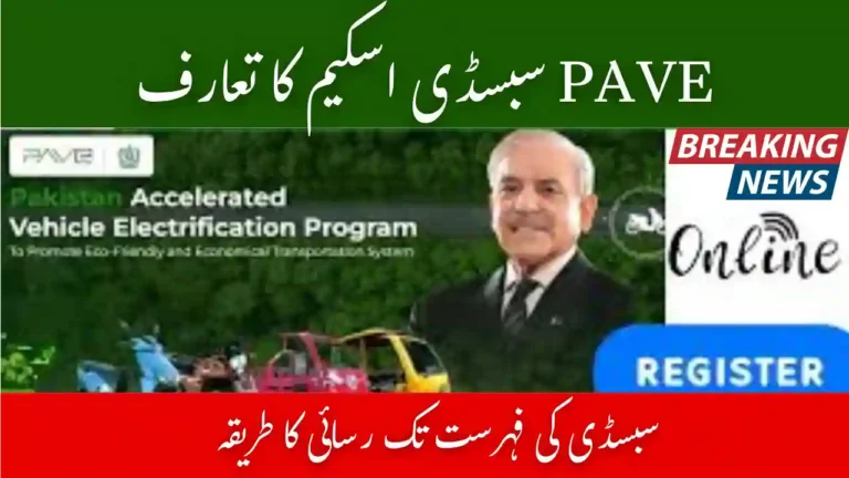 How to Access the PAVE Subsidy List and Check Your Eligibility 5 PAVE Subsidy List