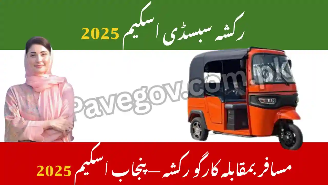 Passenger vs Cargo Rickshaws in Punjab Scheme