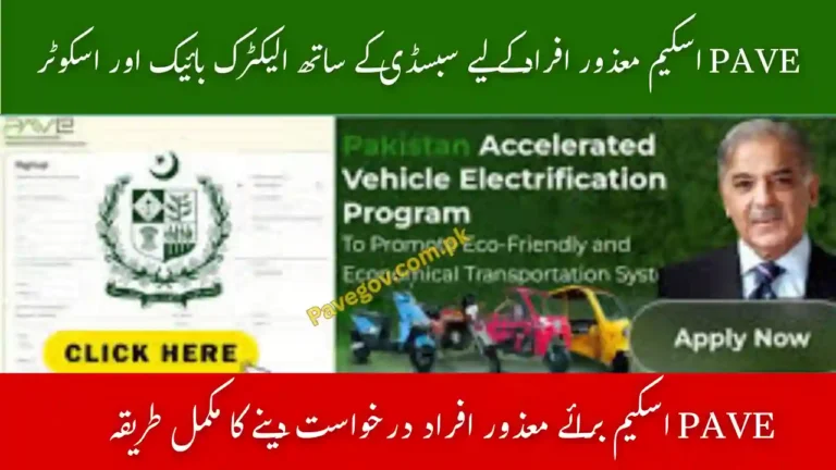 PAVE Scheme for Disabled Individuals: Eligibility and Benefits 7 Pave Disabled Individuals Scheme