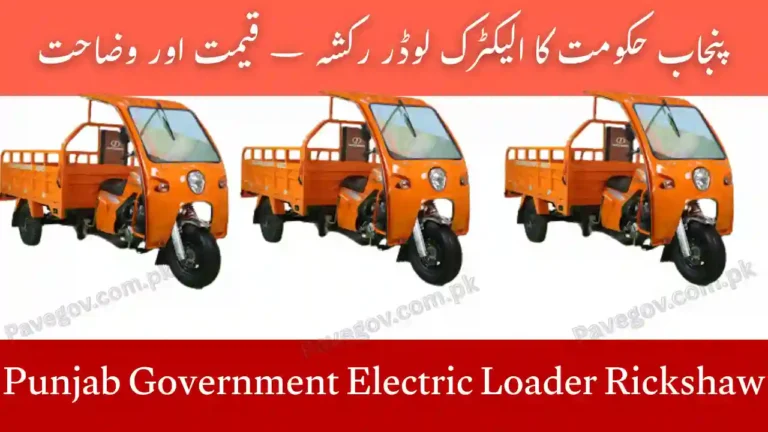 Punjab Government Electric Loader Rickshaw – Price & Specs 6 Punjab Government Electric Loader Rickshaw