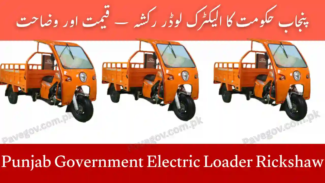 Punjab Government Electric Loader Rickshaw