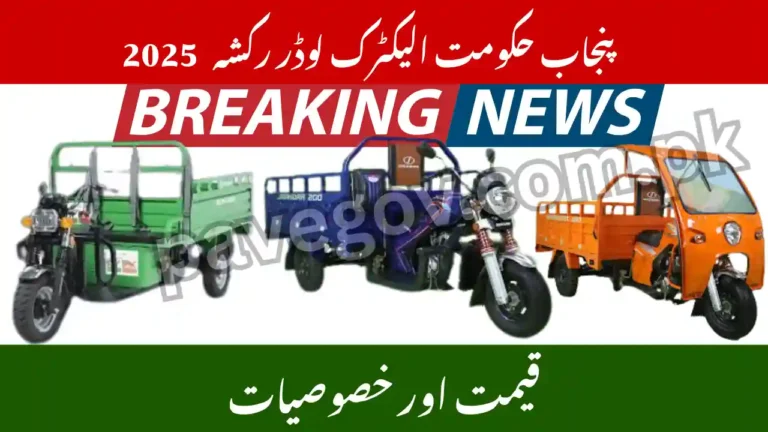 Punjab Government Electric Loader Rickshaw – Price & Specs 4 Punjab Government Electric Loader Rickshaw