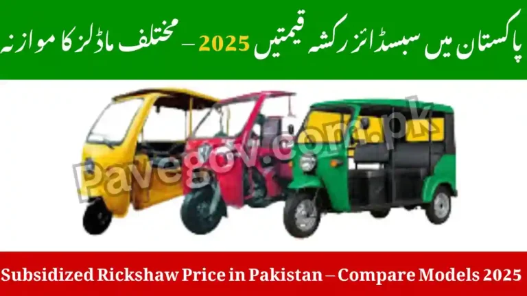 Subsidized Rickshaw Price in Pakistan – Compare Models 2025 3 Subsidized Rickshaw Price in Pakistan