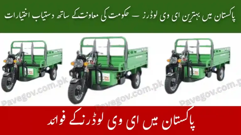 Top EV Loaders in Pakistan – Government Supported Options 5 Top EV Loaders in Pakistan