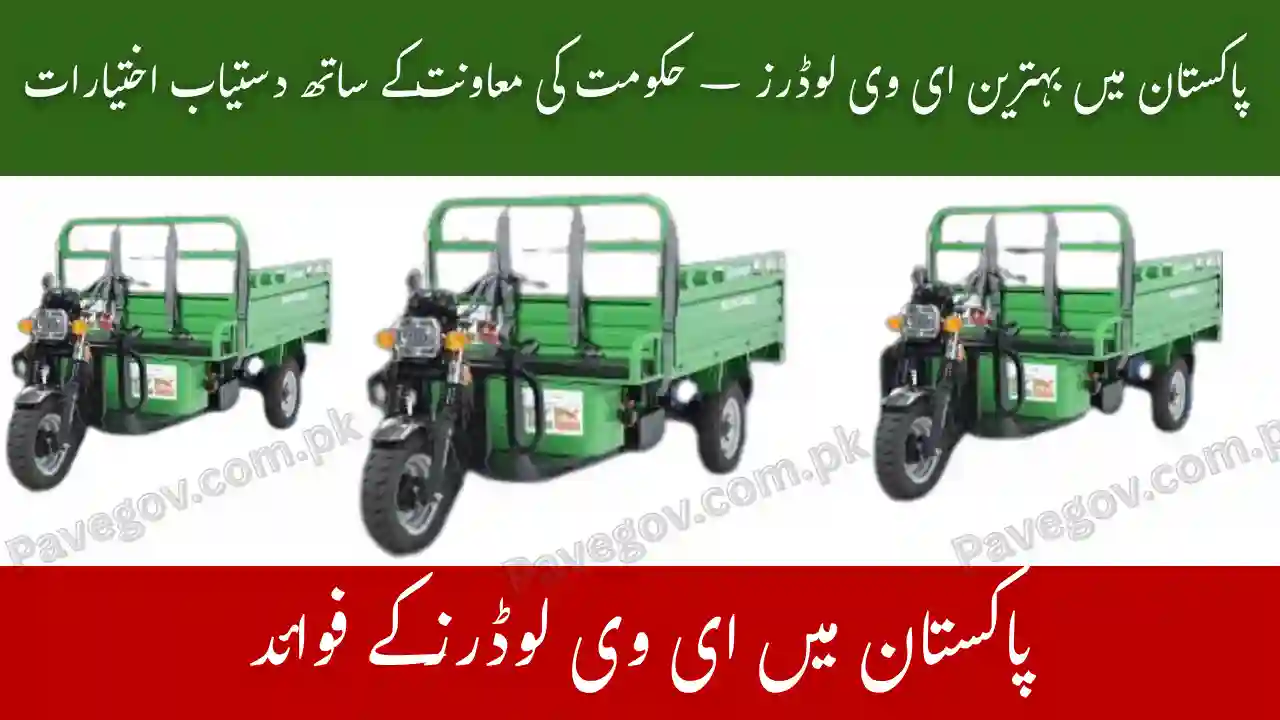Top EV Loaders in Pakistan