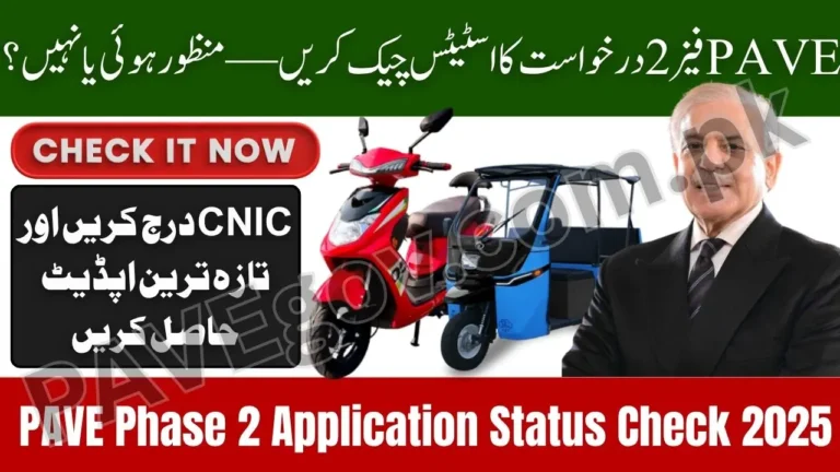 PAVE Phase 2 Application Status Check 2025 – Track Your Approval Online Using CNIC 8 PAVE Phase 2 Application Status Check 2025