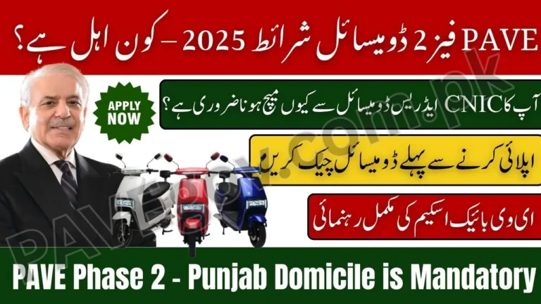 PAVE Phase 2 Domicile Requirements 2025 – Who Is Eligible to Apply for EV Subsidy? 7 PAVE Phase 2 Domicile Requirements 2025