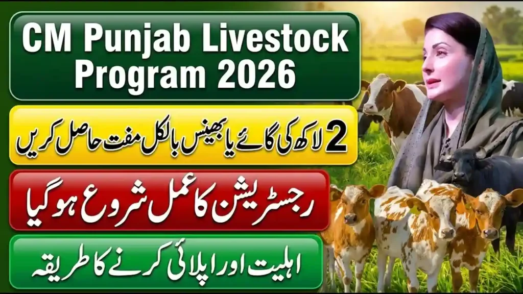 CM Punjab Livestock Program 2026 | Eligibility, Registration, Benefits & Complete Application Guide 5 maxresdefault 1